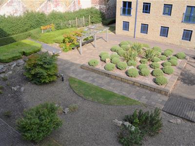 Communal Garden Area